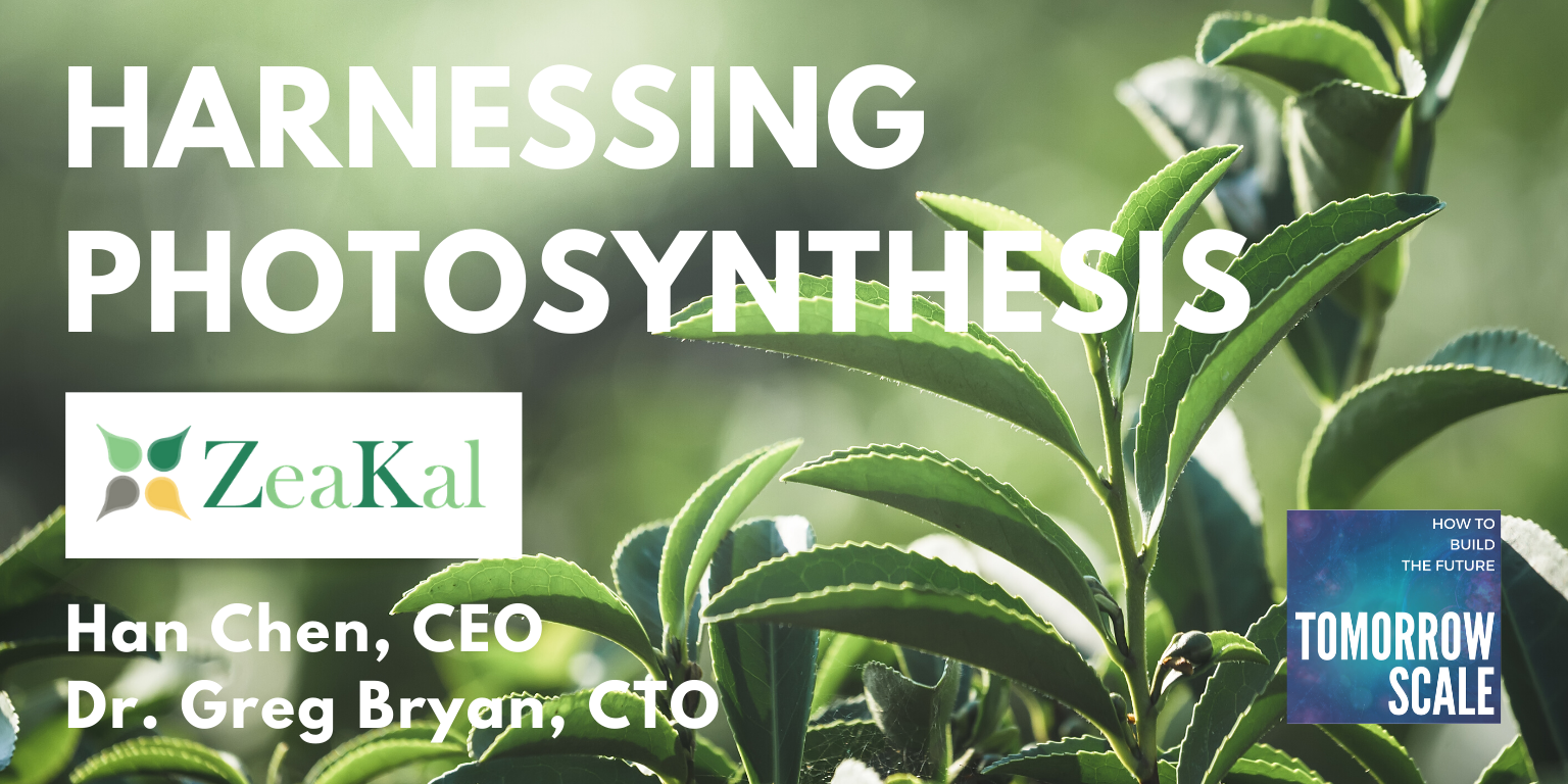 Harnessing Photosynthesis - Zeakal